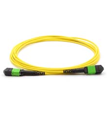 SM MTP-MTP FIBER ASSEMBLIES